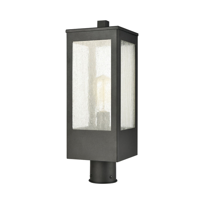 Angus 20 Inch High 1-Light Outdoor Post Light in Charcoal