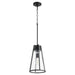 Quorum - 826-69 - One Light Pendant - Noir w/ Clear