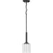 Progress Lighting - P500103-143 - One Light Mini Pendant - Kene - Graphite