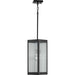 Progress Lighting - P550047-031 - One Light Hanging Lantern - Felton - Black