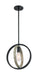 Nuvo Lighting - 60-6984 - One Light Mini Pendant - Augusta - Black / Wood