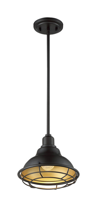 One Light Pendant from the Newbridge collection in Dark Bronze / Gold finish