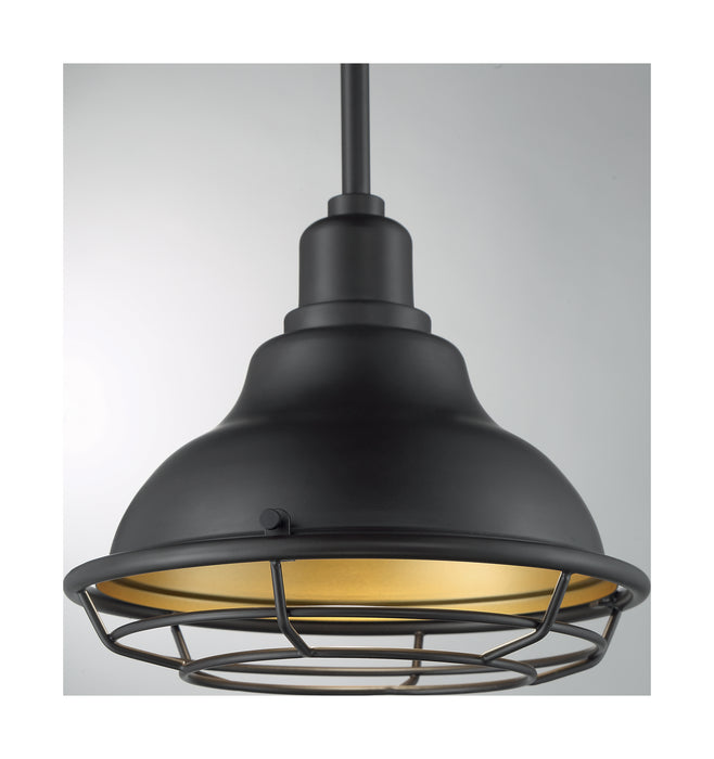 One Light Pendant from the Newbridge collection in Dark Bronze / Gold finish