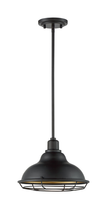 One Light Pendant from the Newbridge collection in Dark Bronze / Gold finish