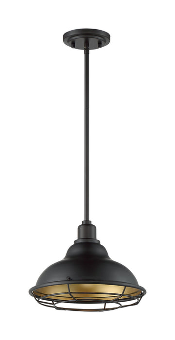 One Light Pendant from the Newbridge collection in Dark Bronze / Gold finish