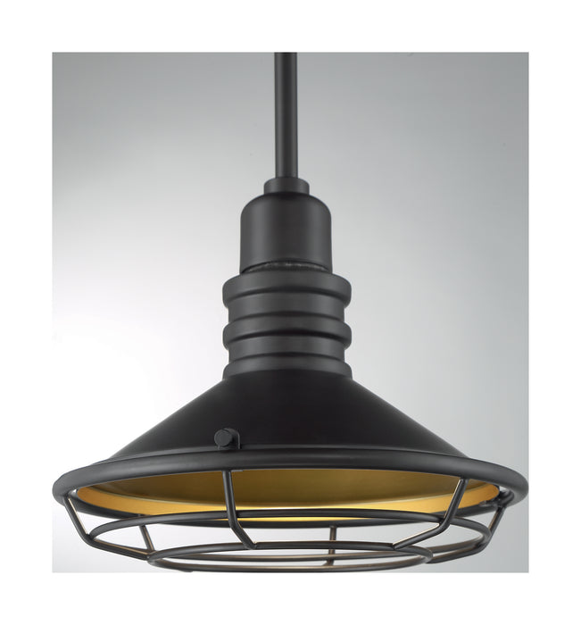 One Light Pendant from the Blue Harbor collection in Dark Bronze / Gold finish