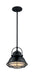 Nuvo Lighting - 60-7063 - One Light Pendant - Upton - Gloss Black / Silver