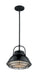 Nuvo Lighting - 60-7064 - One Light Pendant - Upton - Gloss Black / Silver