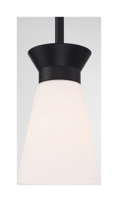 One Light Mini Pendant from the Caleta collection in Black finish