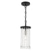 Livex Lighting - 51062-04 - One Light Mini Pendant - Elizabeth - Black