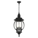 Livex Lighting - 7705-14 - Four Light Outdoor Pendant - Frontenac - Textured Black