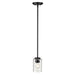 Acclaim Lighting - IN20014BK - One Light Pendant - Livvy - Matte Black