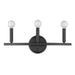 Acclaim Lighting - IN41155BK - Three Light Vanity - Sawyer - Matte Black