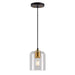 Forte - 2724-01-62 - One Light Pendant - Tyrone - Black and Soft Gold