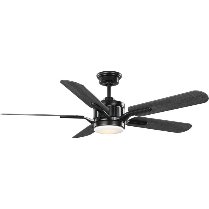 Progress Lighting - P250007-031-30 - 54``Ceiling Fan - Claret - Matte Black