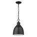 Acclaim Lighting - IN11171BK - One Light Pendant - Colby - Matte Black