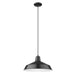 Acclaim Lighting - IN31143BK - One Light Pendant - Alcove - Matte Black