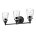 Acclaim Lighting - IN40022BK - Three Light Vanity - Mae - Matte Black