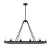 Hunter - 19027 - Ten Light Chandelier - Saddlewood - Natural Iron