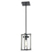 DVI Lighting - DVP38621GR+BIW-CL - One Light Mini-Pendant - Okanagan - Graphite/Birchwood On Metal w/ Clear Glass