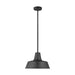 Generation Lighting - 6237401-12 - One Light Outdoor Pendant - Barn Light - Black