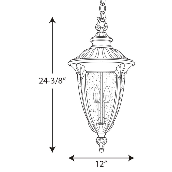 Three Light Hanging Lantern from the Meridian collection in Textured Black finish