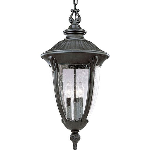 Progress Lighting - P5520-31 - Three Light Hanging Lantern - Meridian - Textured Black