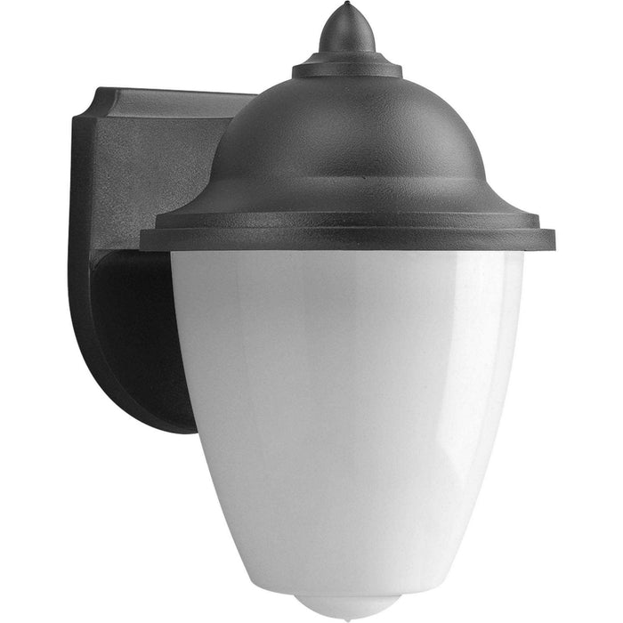 One Light Wall Lantern from the Polycarbonate collection in Black finish