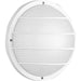 Progress Lighting - P5703-30 - One Light Wall or Ceiling Mount - Polycarbonate Outdoor - White