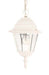 Acclaim Lighting - 4006TW - One Light Outdoor Hanging Lantern - Builders` Choice - Textured White