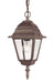 Acclaim Lighting - 4006BW - One Light Outdoor Hanging Lantern - Builders` Choice - Burled Walnut