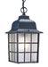 Acclaim Lighting - 5306BK - One Light Outdoor Hanging Lantern - Nautica - Matte Black