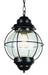 Trans Globe Imports - 69906 BK - One Light Hanging Lantern - Catalina - Black