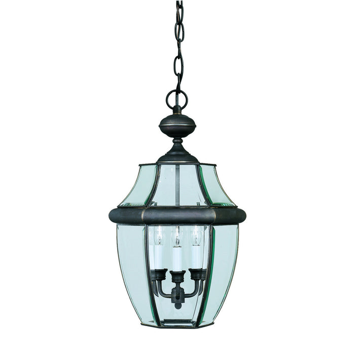 Forte - 1605-03-14 - Three Light Outdoor Pendant - Royal Bronze