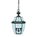 Forte - 1605-03-14 - Three Light Outdoor Pendant - Royal Bronze