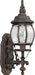 Forte - 1701-01-28 - One Light Outdoor Lantern - Painted Rust A - Painted Rust