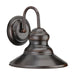 Forte - 1027-01-32DS - One Light Outdoor Lantern - Exterior Antique Bronze - Antique Bronze