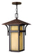 Hinkley - 2572AR - One Light Hanging Lantern - Harbor - Anchor Bronze