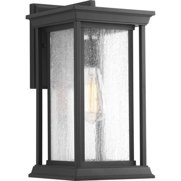 One Light Wall Lantern from the Endicott collection in Black finish
