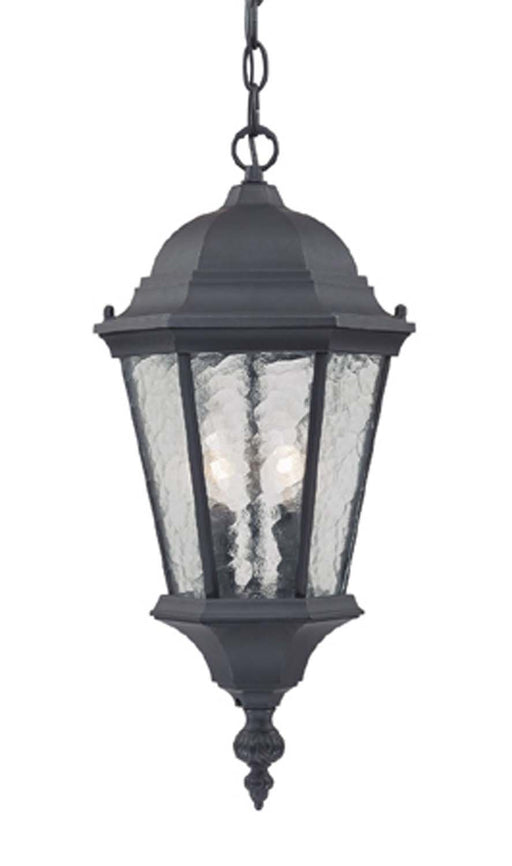 Acclaim Lighting - 5516BK - Two Light Outdoor Hanging Lantern - Telfair - Matte Black