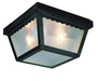 Trans Globe Imports - 4902 BK - Two Light Flushmount Lantern - Samantha - Black