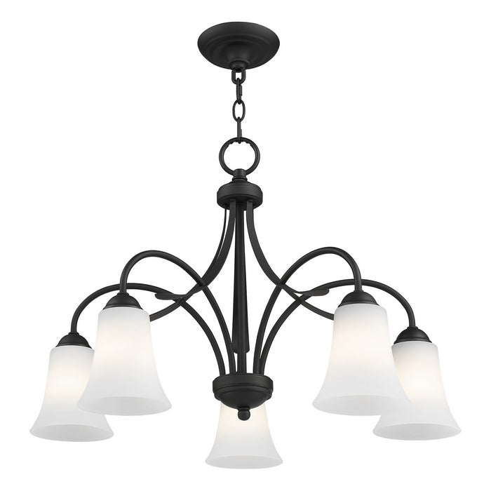 Five Light Chandelier from the Ridgedale collection in Black finish