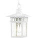 Nuvo Lighting - 60-4954 - One Light Hanging Lantern - Cove Neck - White