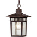 Nuvo Lighting - 60-4955 - One Light Hanging Lantern - Cove Neck - Rustic Bronze