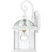 Nuvo Lighting - 60-4961 - One Light Wall Lantern - Boxwood - White