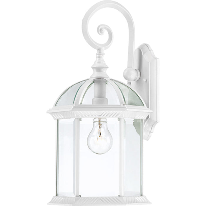 Nuvo Lighting - 60-4964 - One Light Wall Lantern - Boxwood - White