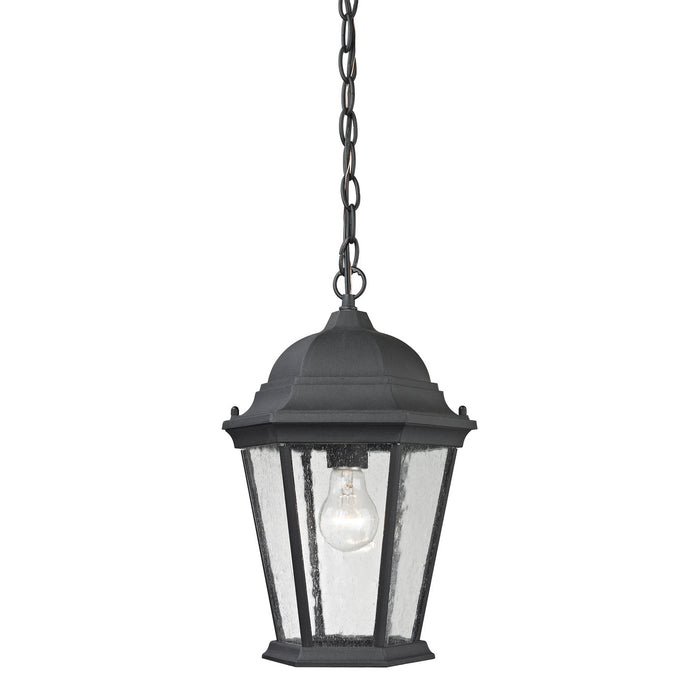 ELK Home - 8101EH/65 - One Light Hanging Lantern - Temple Hill - Matte Textured Black