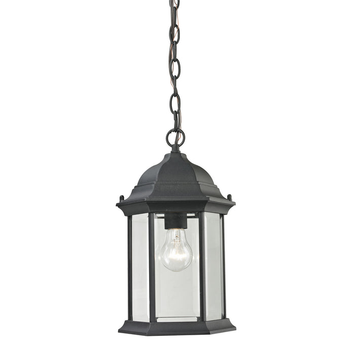 ELK Home - 8601EH/65 - One Light Hanging Lantern - Spring Lake - Matte Textured Black