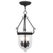 Livex Lighting - 5083-04 - Three Light Pendant - Jefferson - Black