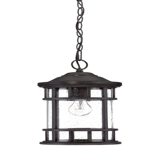 Acclaim Lighting - 31946BC - One Light Outdoor Hanging Lantern - Vista Ii - Black Coral